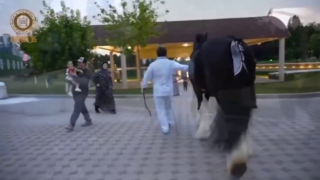 Из Германии Маркус.Ю подарок для Рамазана Кадырова Ахмат сила Аллаху Акбар video music город смотреть онлайн