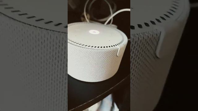 #Алиса#громкая#наказал за слова смотреть онлайн