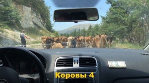 На машине по Северному Кавказу: Нальчик, Владикавказ, Махачкала, Дербент