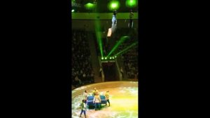 Поход в цирк с семьёй~ Премьера цирка ~ Цирк белых тигров ~