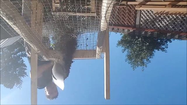 Сортировка гравия, щебня и песка смотреть онлайн