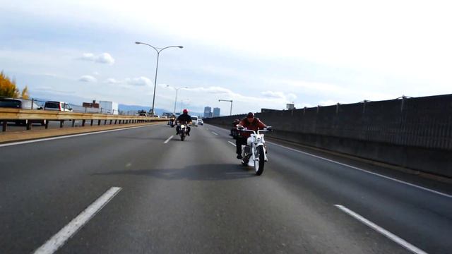 TRIJYA CUSTOM " PHLOX " 1 смотреть онлайн