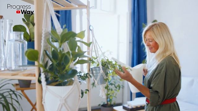 Чем Подкормить Пеларгонии Для Обильного И Продолжительного Цветения! смотреть онлайн