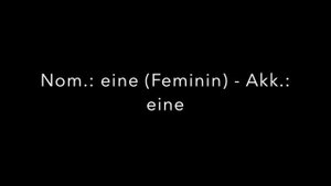 Глагол "haben" в немецком языке