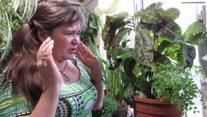 КРОТОН. От чего зависит ОКРАСКА ЛИСТЬЕВ? Как побороть ПАУТИННЫЙ КЛЕЩИК? Что делать с "ПАЛЬМОЙ"?