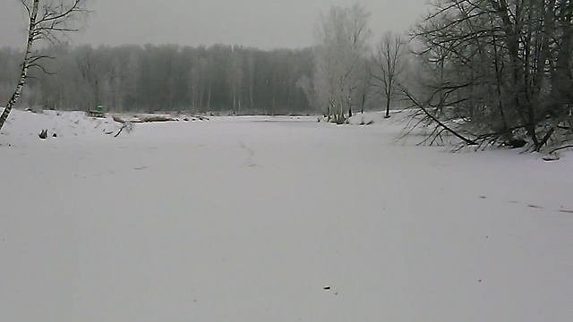 Платная рыбалка в Запрудном