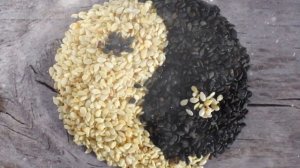 Как Выращивать Кунжут В Домашних Условиях