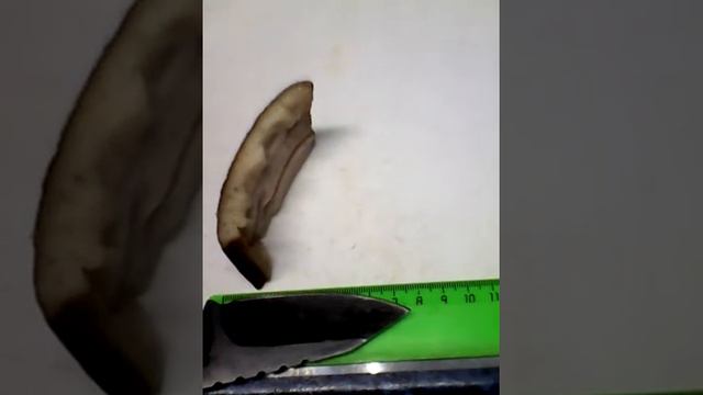 нож против дикого зверя. против кабана тест.