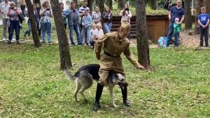 День фронтовой собаки в Музее Победы