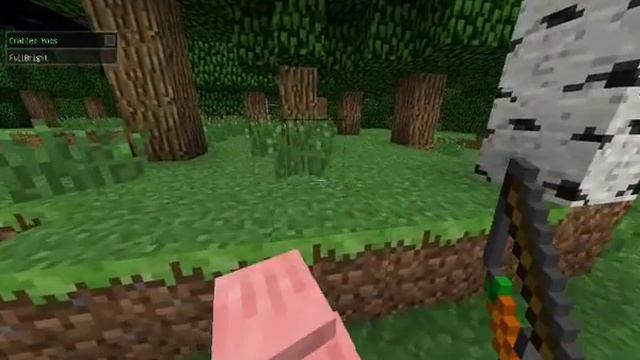 это видео про то как сделать живой транспорт в minecraft смотреть онлайн