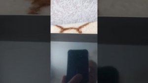 Переназначение кнопок в планшете