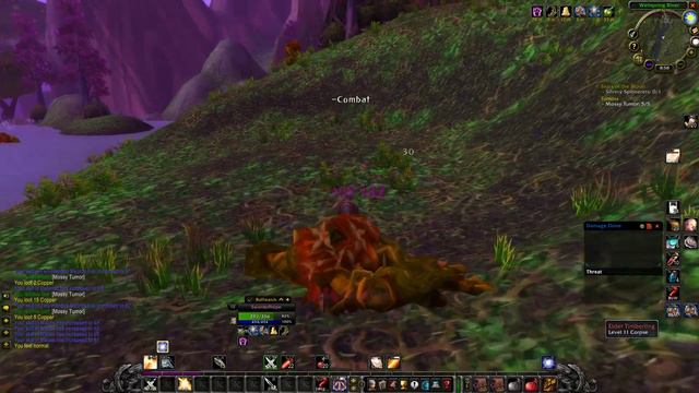 WoW Classic Protection Paladin Leveling смотреть онлайн