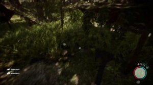 ВСЯ ЕДА | Sons of the Forest | КАК ДОБЫТЬ? | ЧЕМ ПИТАТЬСЯ | ПОИСК | ЛУЧШАЯ ЕДА!