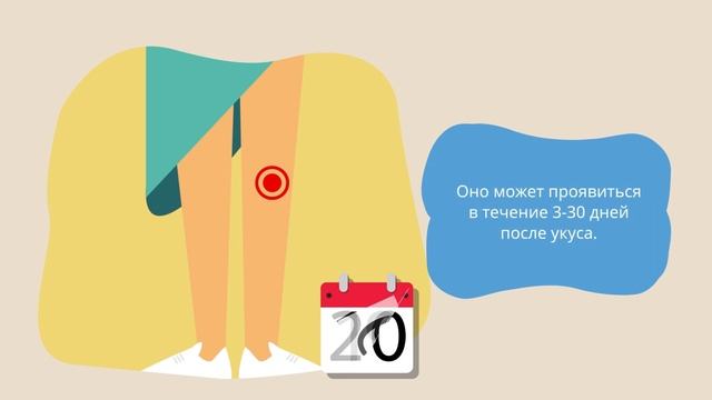 Клещевой энцефалит или болезнь Лайма смотреть онлайн