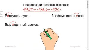 Русский язык. Гласные в корнях -РАСТ- / -РАЩ- / -РОС- с чередованием.