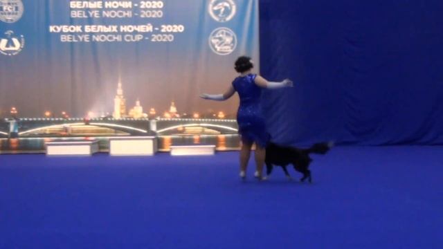 Ейбогина Людмила Бордер колли Let's Just Do It Мастер-НТМ смотреть онлайн