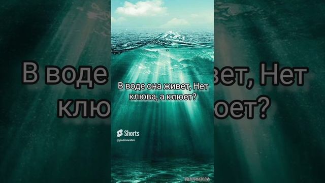 В воде она живет, Нет клюва, а клюет? Логическая Загадка. Задача. Отгадай её? #логика #задача