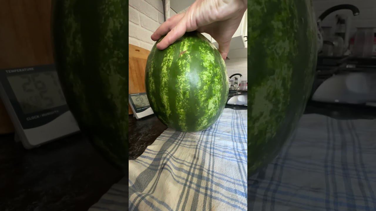 Арбузное настроение смотреть онлайн