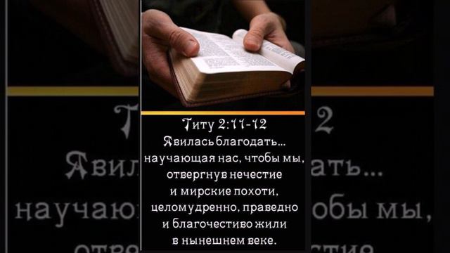 Чем старше я становлюсь,тем больше сознаю смотреть онлайн