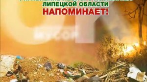 Социальный видеоролик Управления лесного хозяйства Липецкой области