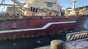 прибыл в порт