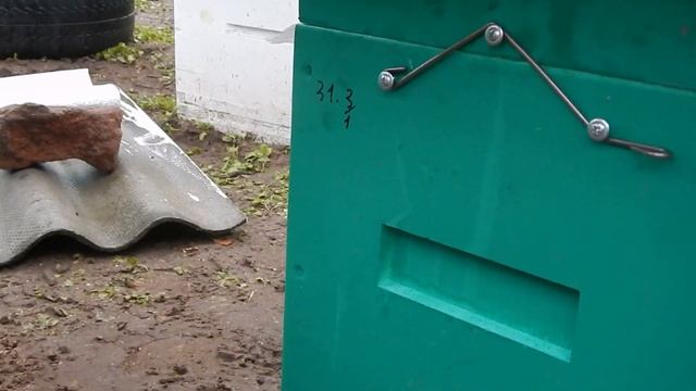 Кормим пчел фруктозно-глюкозным сиропам в холодное время года смотреть онлайн