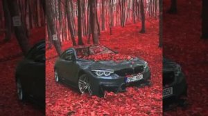 ALEKSEEV - А ти пливеш у човні (remix)