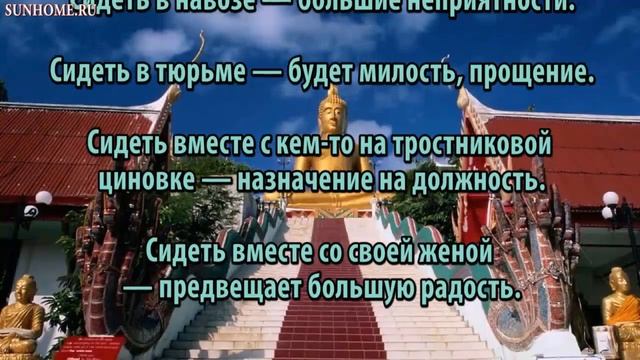 К чему снится Сидеть сонник, толкование сна смотреть онлайн