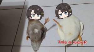 2 Subaru duck flipped over | Animal hololive
