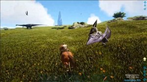 Как приручить Эквуса . Ark: Survival Evolved. ГАЙД