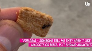 Danielle Fishel and Jensen Karp Find Shrimp Tails in Their Cinnamon Toast Crunch