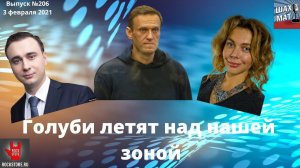 Выпуск № 206, 3 февраля Голуби летят над нашей зоной
