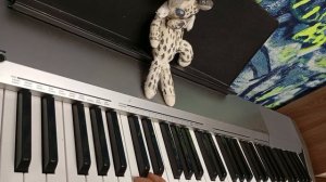 король и шут🤘🤘🤘