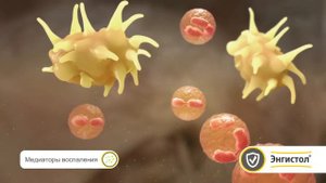 Как действует ЭНГИСТОЛ (ENGYSTOL)