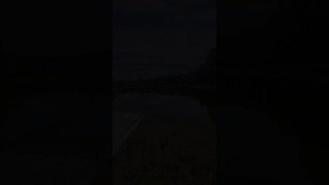 мои выходные 21.04.24