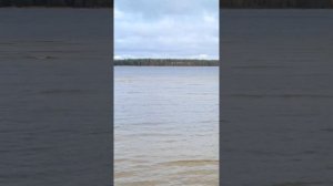 Бухта Брусно. Карелия. Рыбалка 2022. Приезжайте в  наш край...край лесов и озёр!