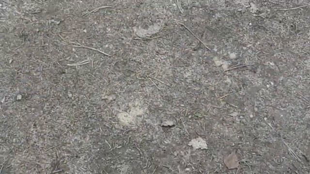 Ритуал - онлайн Порча  - закрытие всех дорог врагу .
