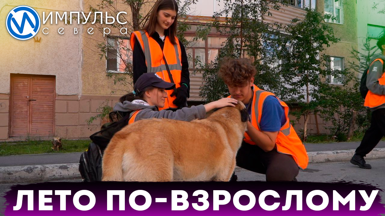 Трудовые отряды главы города продолжают уборку вверенных территорий