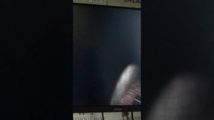 как скачать гренни на ПК? смотри сюда