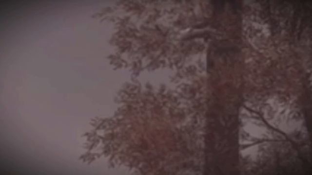 Easter Egg Ford Anglia?! смотреть онлайн