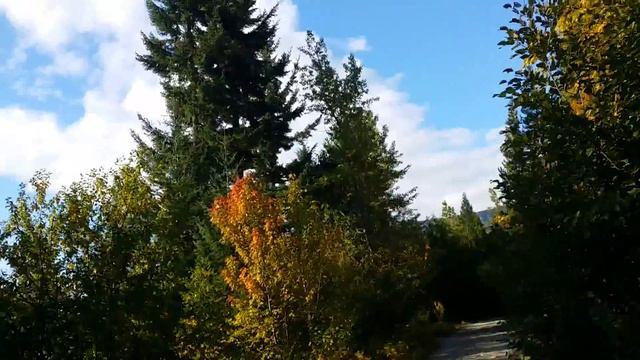 Riding up to McKenzie paragliding launch - offroad смотреть онлайн