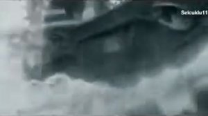 Царь Николай II (27-28 мая 1905 года)