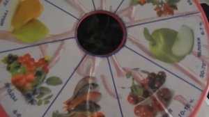 Сушим зелень петрушки в сушилке.Минус моей электросушилки.В чем хранить высушенную зелень.