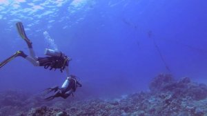 Обзор рифа отеля Baron Resort 4K. Дайвинг.