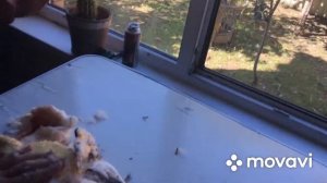 Начался забой индоуток ! Решили на зиму сократить уток !