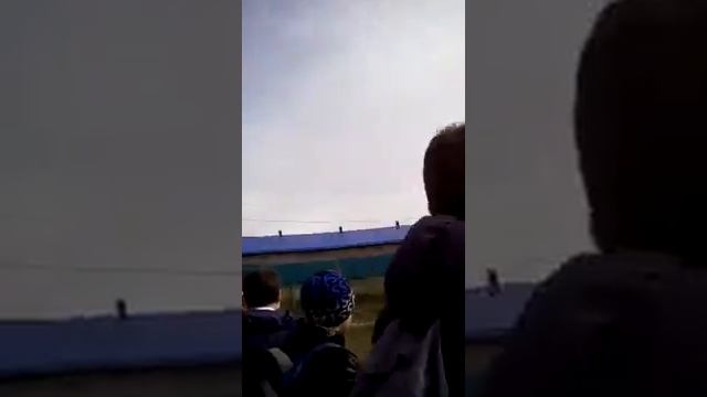 Пожарные пеной полевают дерево. смотреть онлайн