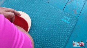 Review Butterfly Effort 70th Anniversary Edition with Dignics 09c + Dignics 05 | PingpongThaibaan