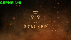 True Stalker/ Настоящий сталкер / Прохождение/ серия 8 / Кидалово в темной долине