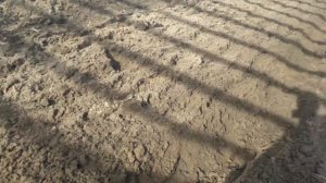 Пашем  на мотоблоке мтз 05 в теплице   ЭТО НУЖНО ВИДЕТЬ КАЖДОМУ ДАЧНИКУ