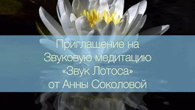 Приглашение на Звуковую Медитацию "Звук Лотоса" от Анны Соколовой